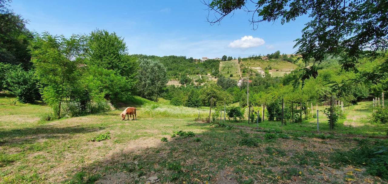 Agriturismo Il Burlino Apartments Lerma Extérieur photo