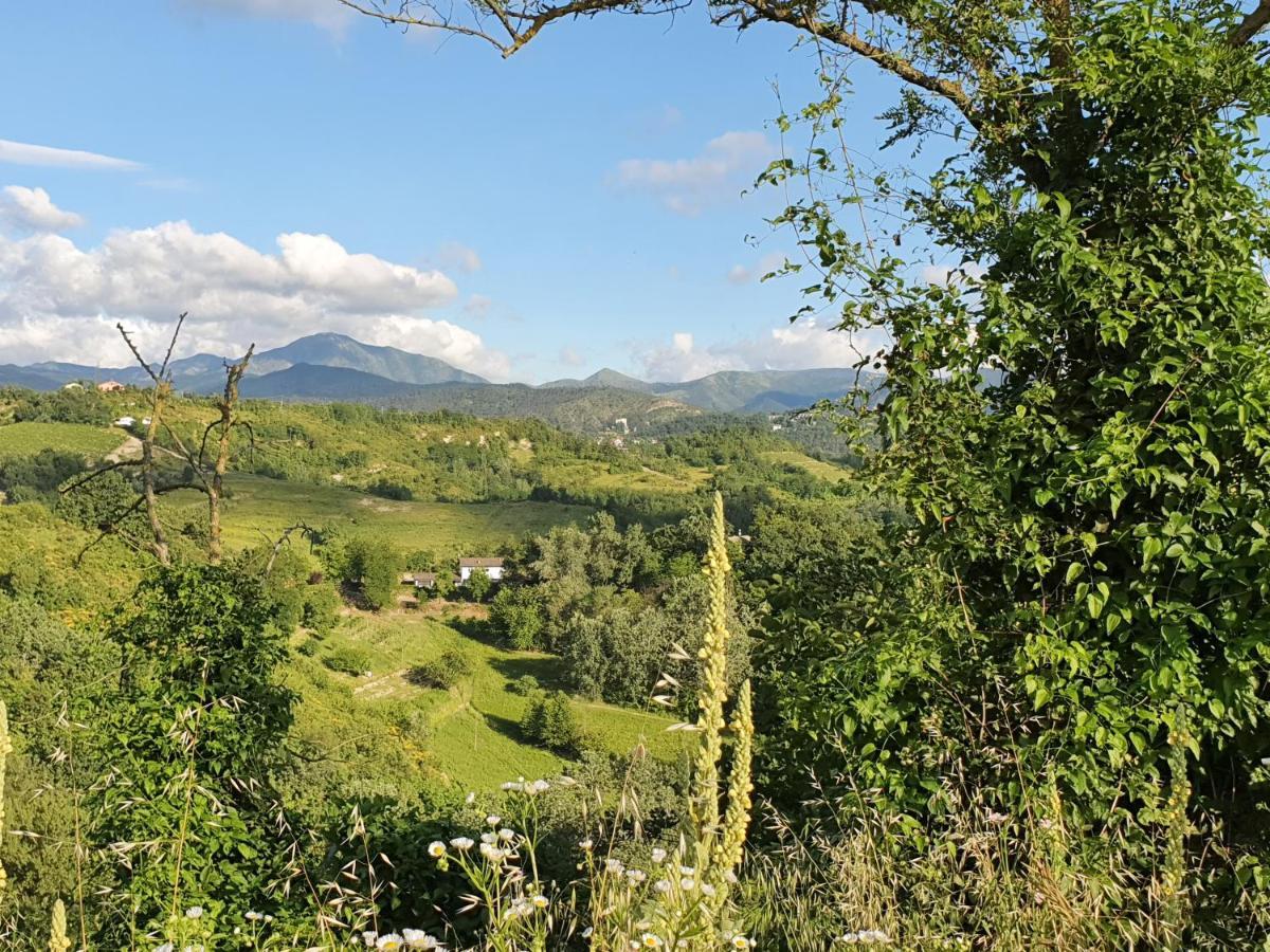 Agriturismo Il Burlino Apartments Lerma Extérieur photo